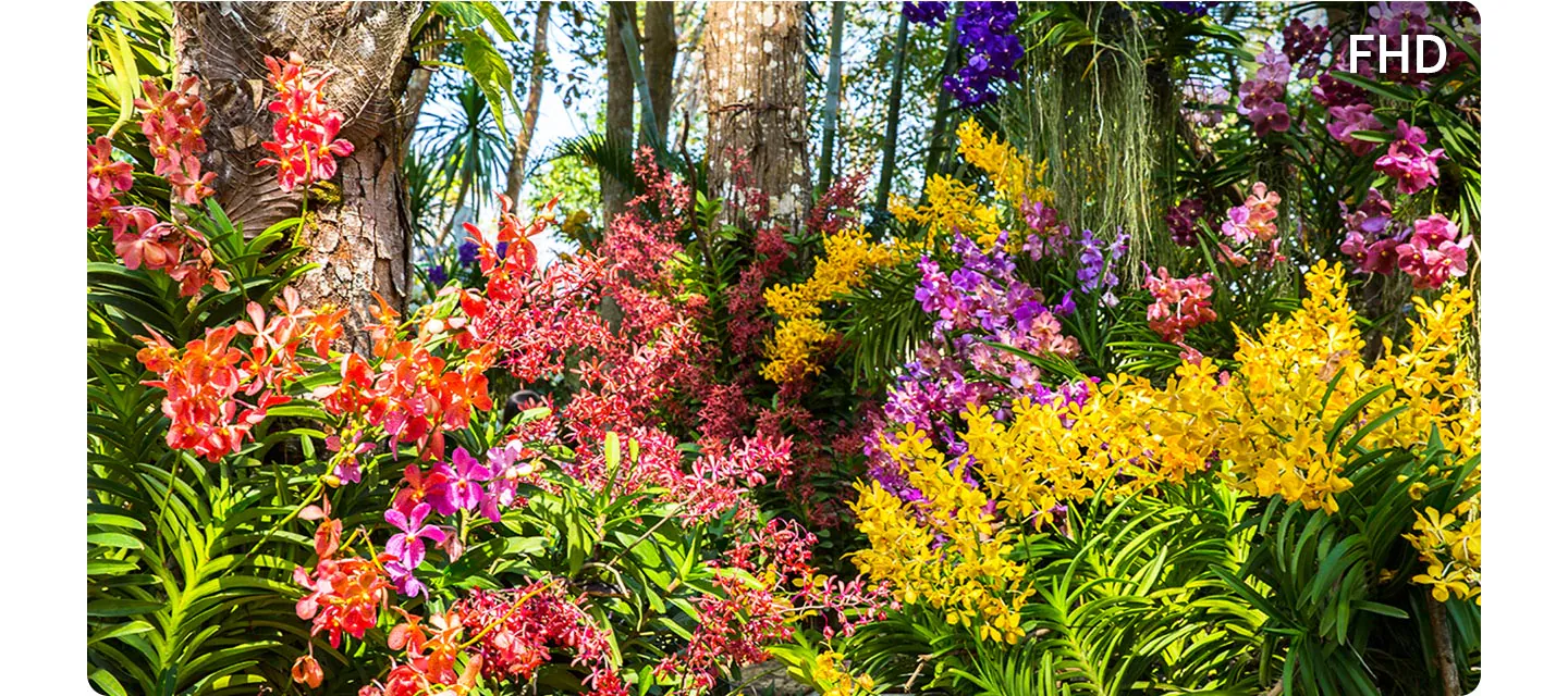 Full HD — высокая детализация на 43-дюймовом экране